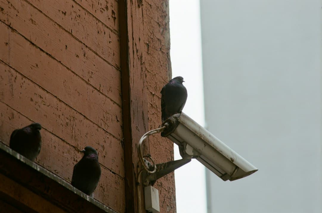 Quanto costano le telecamere Flock alle città americane: oltre il prezzo iniziale