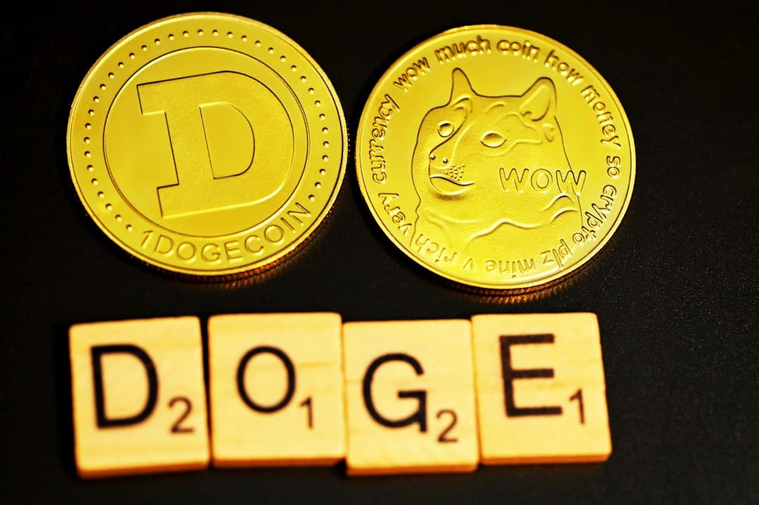 Una fondazione privata paga tecnici del governo USA: il nuovo caso dopo DOGE